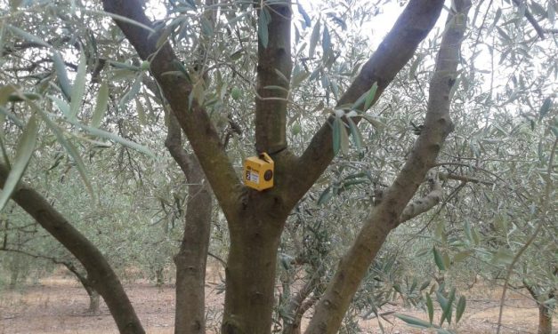Les Tinytags description et fonctionnement