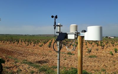 Pourquoi installer une station météo sur mon exploitation agricole?