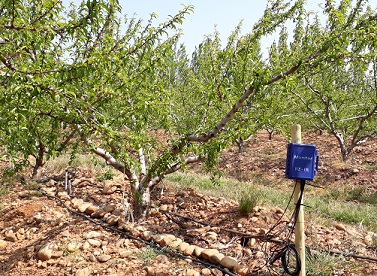 Pilotage de votre irrigation