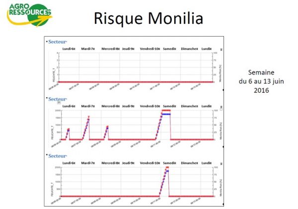 Comparaison risque monilia sur 3 sites en Crau