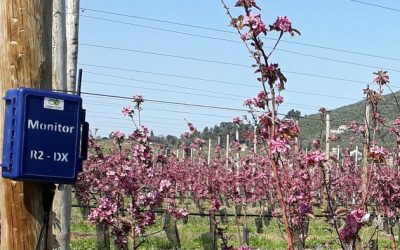 Le Monitor, un outil d’aide à la décision en irrigation