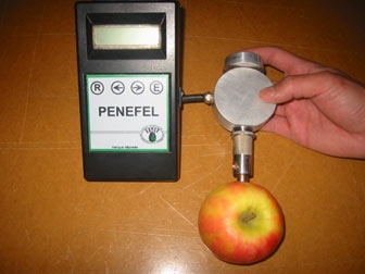 Pénéfel électronique