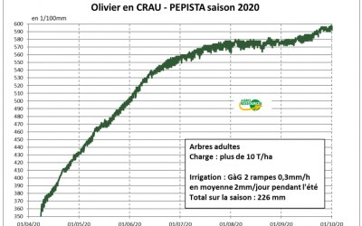 Exemple d’utilisation du Pépista® en Olivier