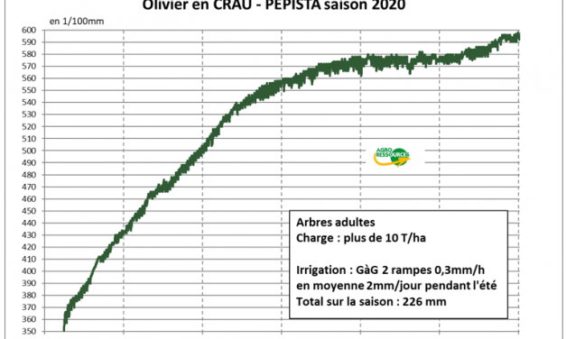 Exemple d’utilisation du Pépista® en Olivier