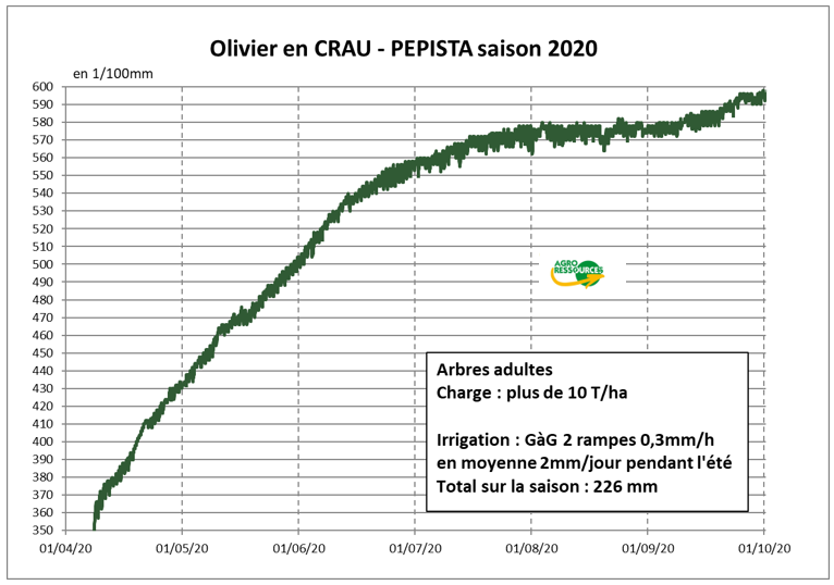 optimisation de la culture