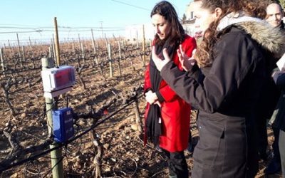 Agroressources recoit la secrétaire d’Etat à la Transition écologique