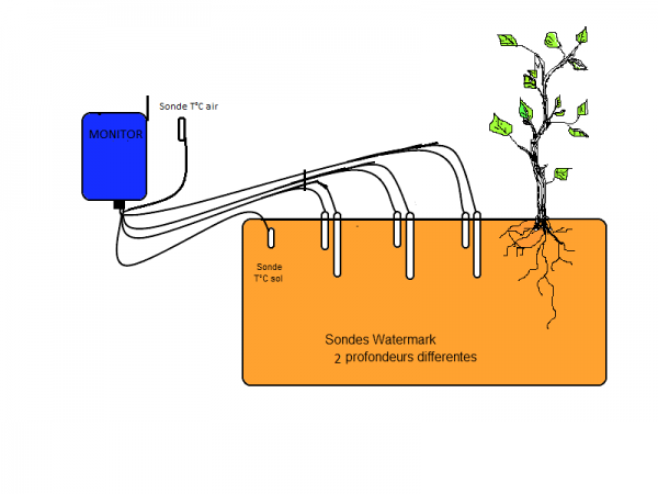 Schema_implantation_sondes