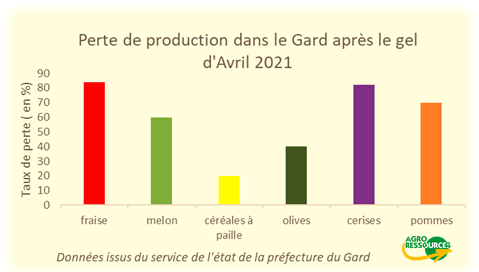 Graphique du taux de perte de production dû au gel Avril 2021